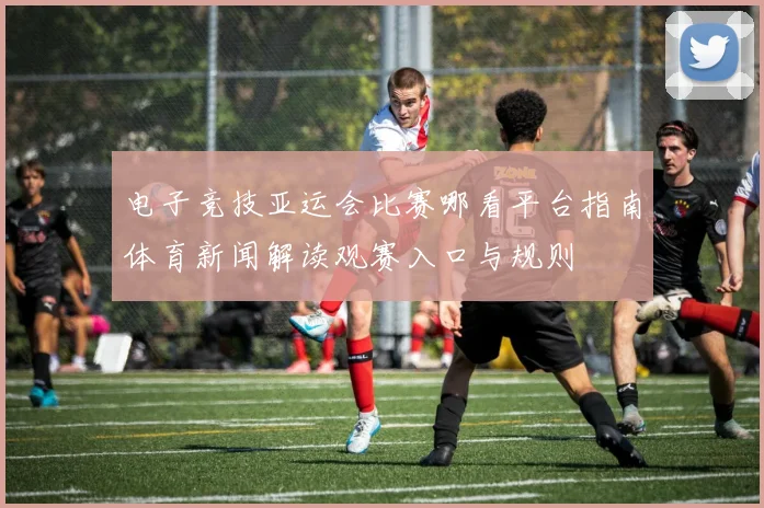 电子竞技亚运会比赛哪看平台指南体育新闻解读观赛入口与规则