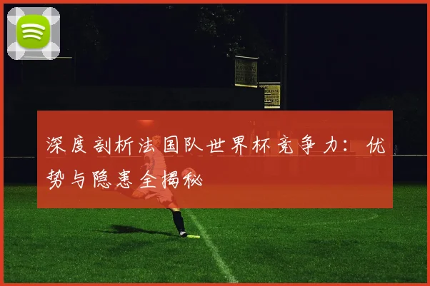 深度剖析法国队世界杯竞争力：优势与隐患全揭秘