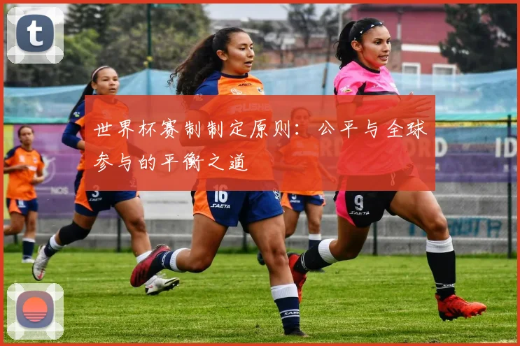 世界杯赛制制定原则：公平与全球参与的平衡之道