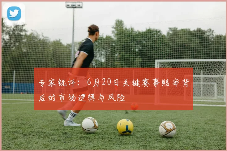 专家锐评:6月20日关键赛事赔率背后的市场逻辑与风险