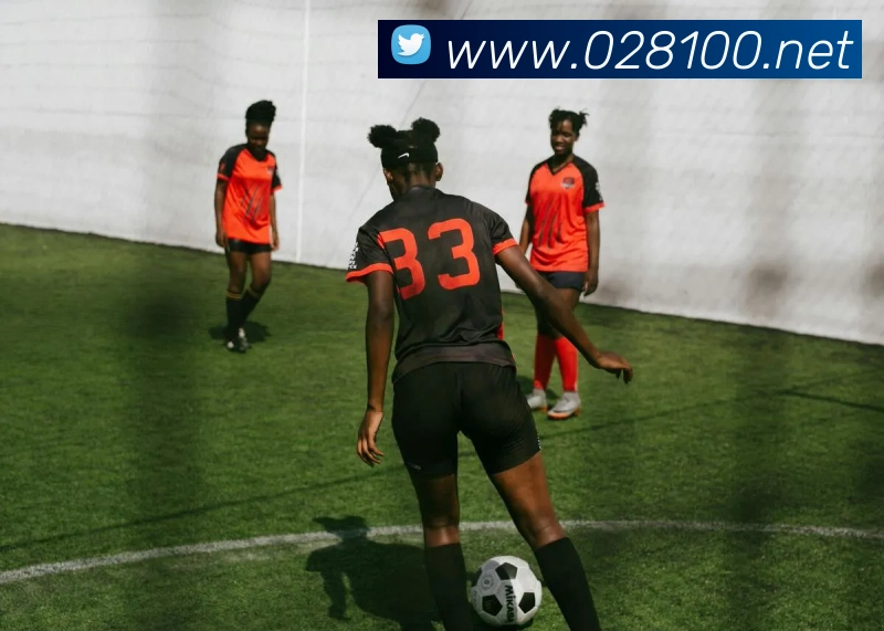 App Interface Preview